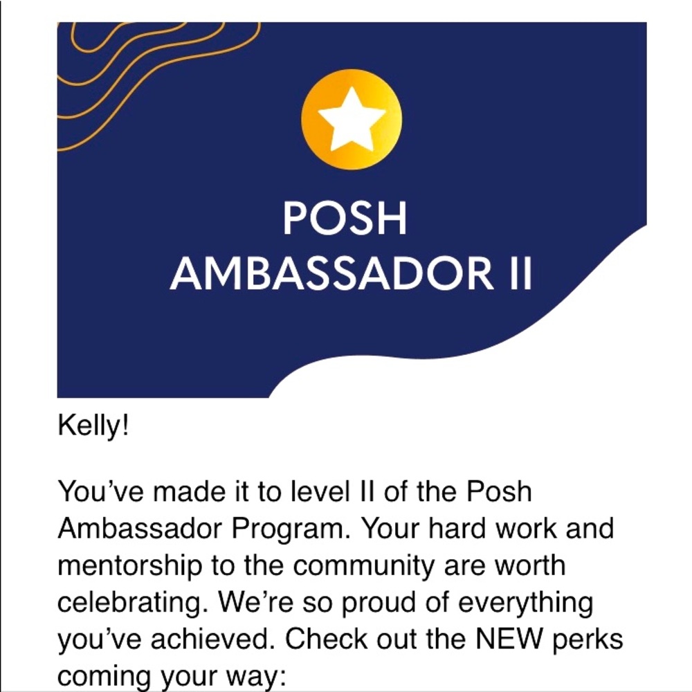 🥰POSH AMBASSADOR II - Picture 1 of 4